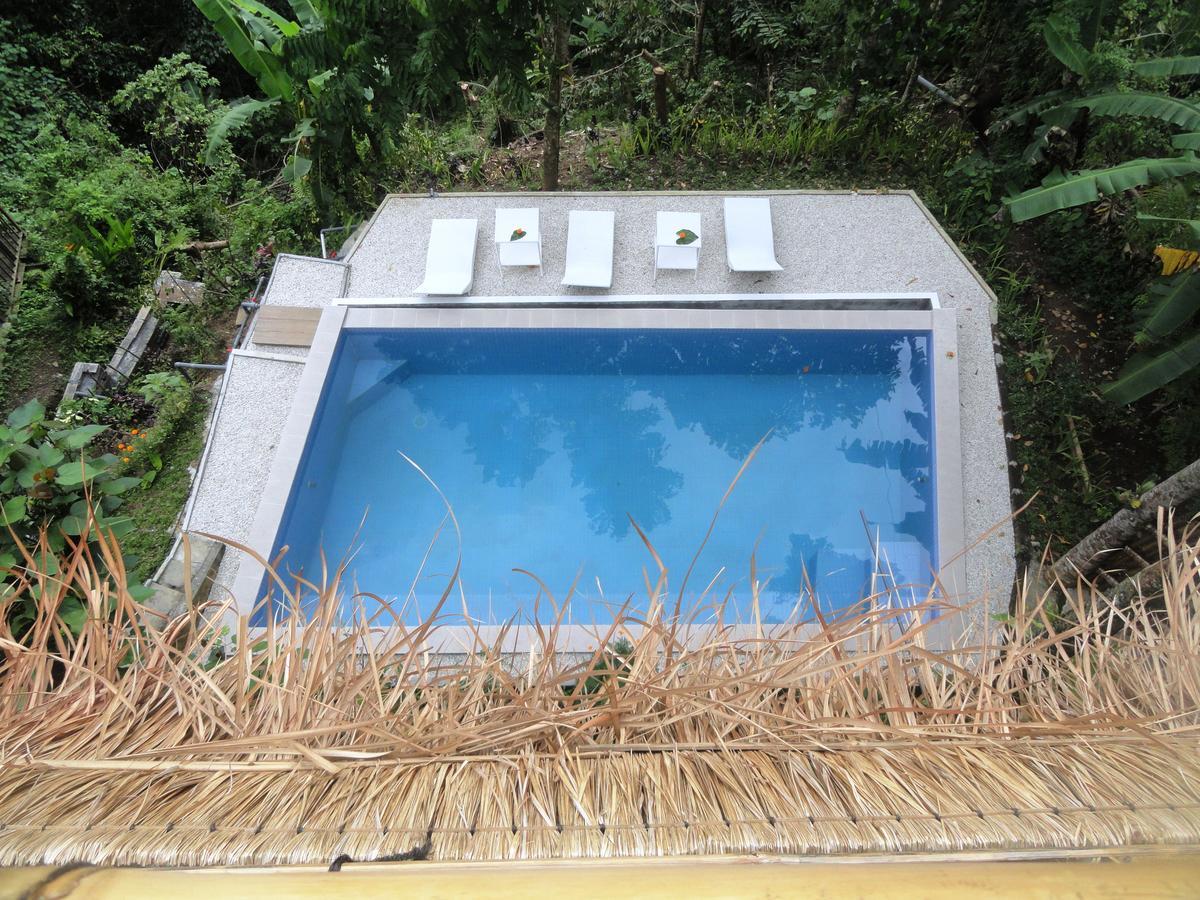 Putu Yoga Bungalow Ουμπούντ Πισίνα φωτογραφία