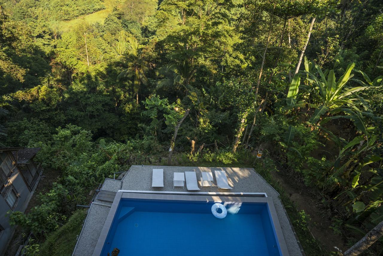 Putu Yoga Bungalow Ουμπούντ Εξωτερικό φωτογραφία